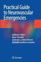Practical Guide to Neurovascular Emergencies - Guillaume Saliou,Marie Theaudin,Claire Join-Lambert Vincent - cover