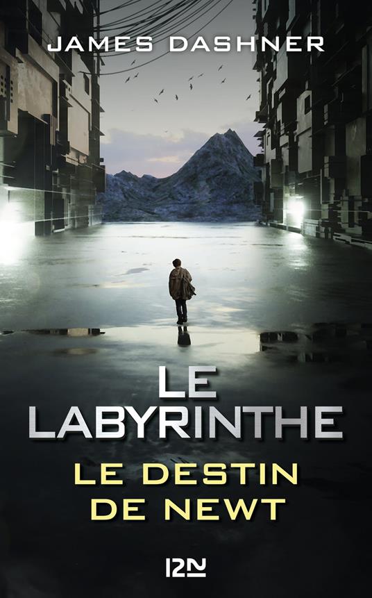 Le Labyrinthe - Le destin de Newt - James Dashner,Guillaume FOURNIER - ebook