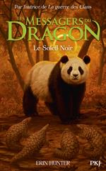 Les Messagers du Dragon, Cycle 1 - Tome 4 Le Soleil noir