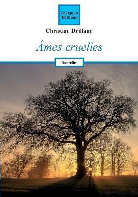Ames cruelles - Christian Drillaud - cover