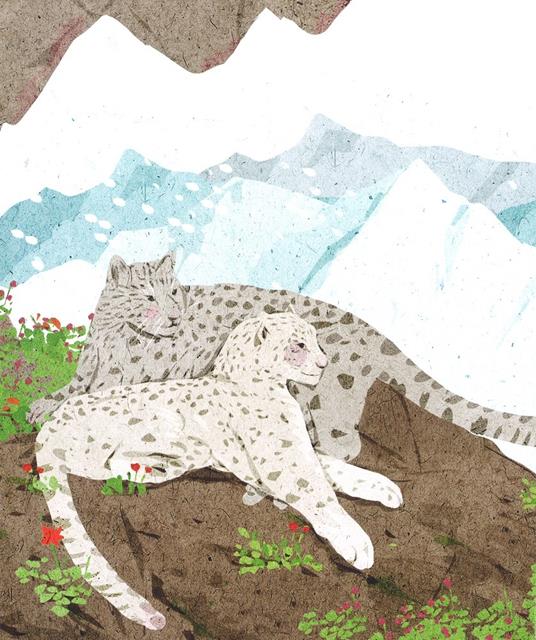 Nevoso. Il leopardo delle alte vette. Ediz. a colori - Milisava Petković - 3