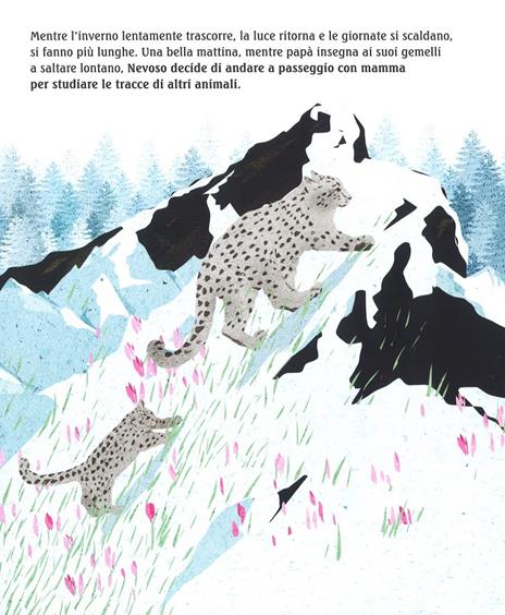 Nevoso. Il leopardo delle alte vette. Ediz. a colori - Milisava Petković - 5