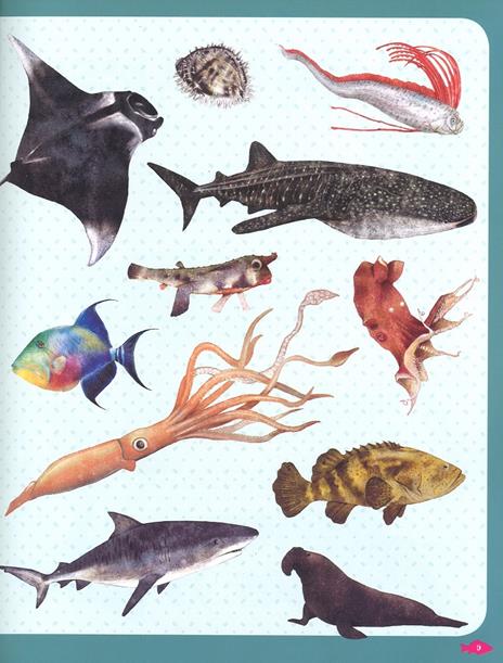 Pesci del mondo e altri animali marini. Ediz. a colori - Angelo Mojetta - 3