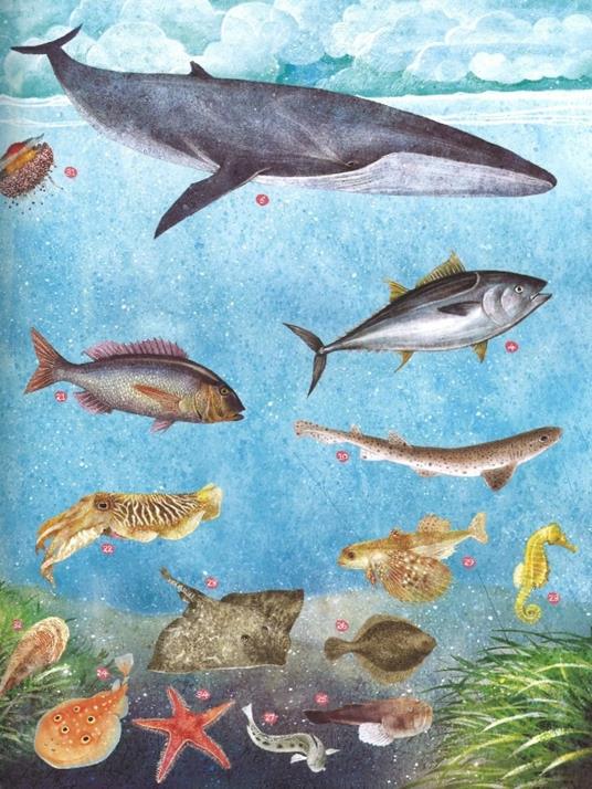 Pesci del mondo e altri animali marini. Ediz. a colori - Angelo Mojetta - 5