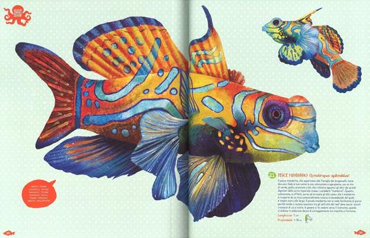 Pesci del mondo e altri animali marini. Ediz. a colori - Angelo Mojetta - 6