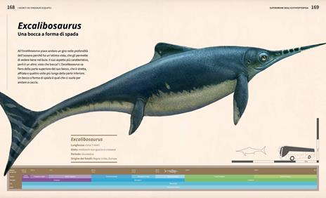 I segreti dei dinosauri acquatici - Yang Yang - 6