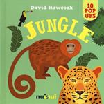 Jungle. Libro pop-up. Ediz. a colori