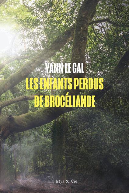 Les enfants perdus de Brocéliande