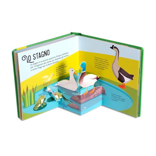 Fattoria. Sorprendenti pop up. Ediz. a colori - David Hawcock - 5