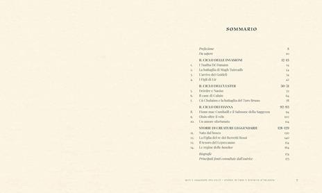 Miti e leggende dei celti. Storie di eroi e divinità. Ediz. illustrata - Mila Fois - 6