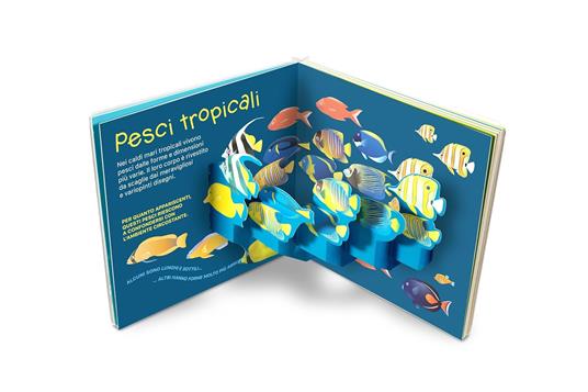 Mare. Super pop up! Ediz. a colori - David Hawcock - 3