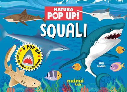 Squali. Natura pop up! - David Hawcock - copertina