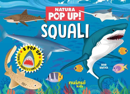 Squali. Natura pop up! - David Hawcock - copertina