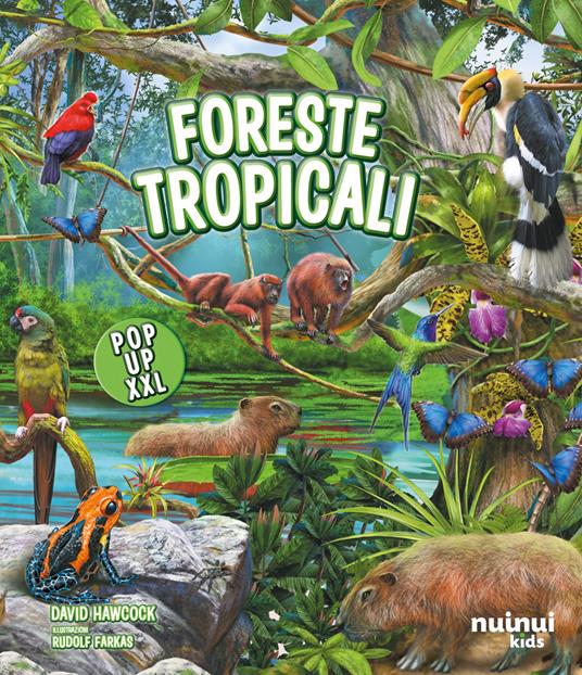 Foreste tropicali. Pop up XXL. Ediz. a colori - David Hawcock - copertina