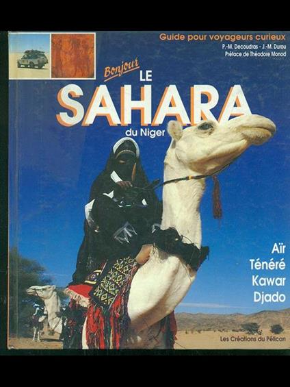 Bonjour le Sahara de Niger - copertina