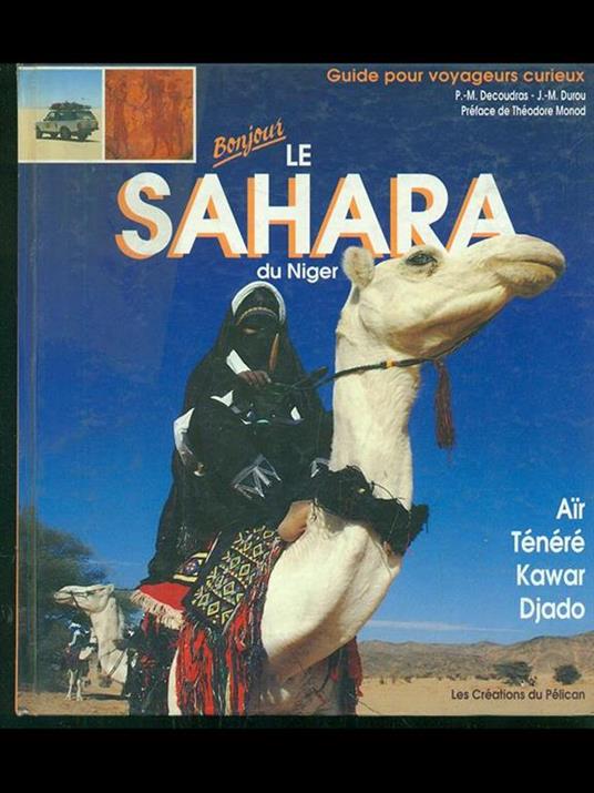 Bonjour le Sahara de Niger - copertina