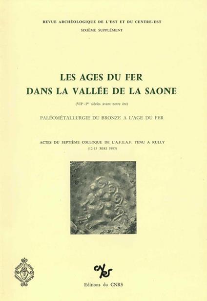Les âges du fer dans la vallée de la Saône (VIIe - Ier siècles avant notre ère)