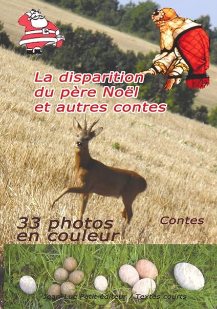 La disparition du père Noël et autres contes - Stéphane Ternoise - ebook