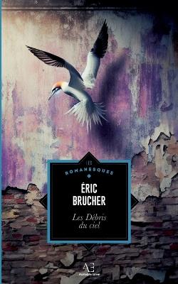 Les Débris du ciel - Éric Brucher - cover