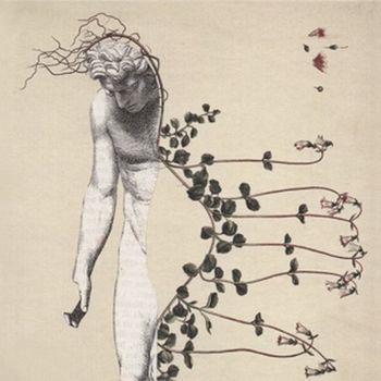 Stigma - CD Audio di ojeRum