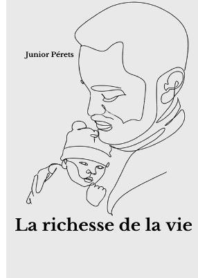 La richesse de la vie - Junior Perets - cover