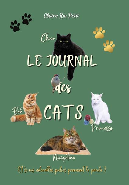 Le journal des Cats - Claire Rio Petit - ebook