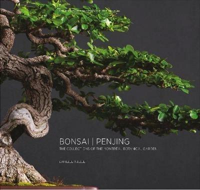 Bonsai | Penjing: The Collections of the Montreal Botanitcal Garden - Danielle Ouellet - cover