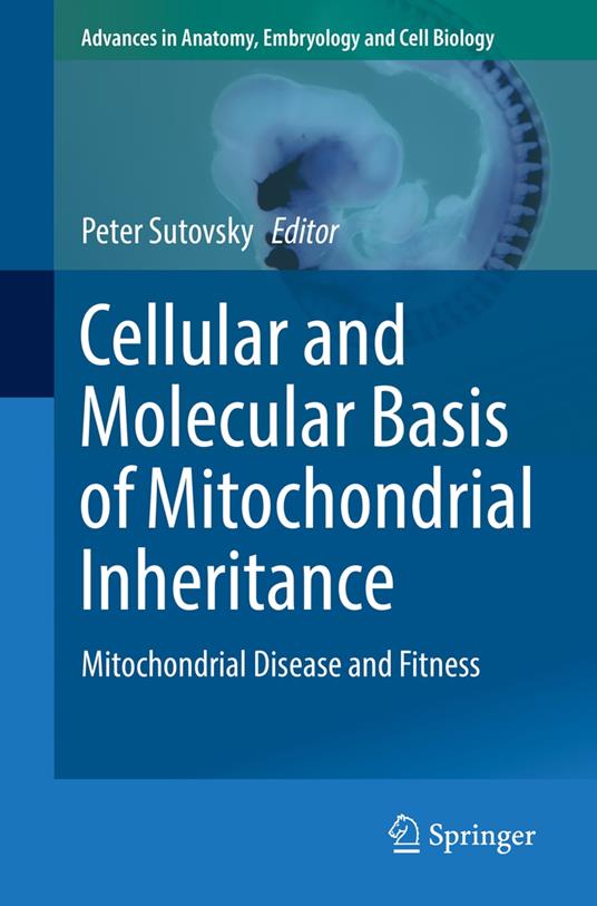 Cellular and Molecular Basis of Mitochondrial Inheritance