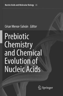 Prebiotic Chemistry and Chemical Evolution of Nucleic Acids - cover