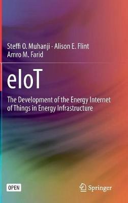 eIoT: The Development of the Energy Internet of Things in Energy Infrastructure - Steffi O. Muhanji,Alison E. Flint,Amro M. Farid - cover