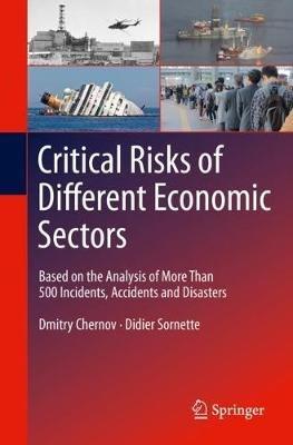 Critical  Risks of Different Economic Sectors: Based on the Analysis of More Than 500 Incidents, Accidents and Disasters - Dmitry Chernov,Didier Sornette - cover