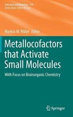 Metallocofactors that Activate Small Molecules: With Focus on Bioinorganic Chemistry