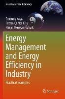 Energy Management and Energy Efficiency in Industry: Practical Examples - Durmus Kaya,Fatma Çanka Kiliç,Hasan Hüseyin Öztürk - cover