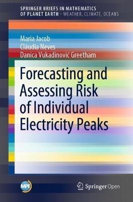 Forecasting and Assessing Risk of Individual Electricity Peaks - Maria Jacob,Cláudia Neves,Danica Vukadinovic Greetham - cover