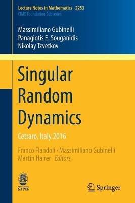 Singular Random Dynamics: Cetraro, Italy 2016 - Massimiliano Gubinelli,Panagiotis E. Souganidis,Nikolay Tzvetkov - cover