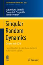 Singular Random Dynamics