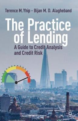 The Practice of Lending: A Guide to Credit Analysis and Credit Risk - Terence M. Yhip,Bijan M. D. Alagheband - cover