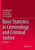 Basic Statistics in Criminology and Criminal Justice - David Weisburd,Chester Britt,David B. Wilson - cover