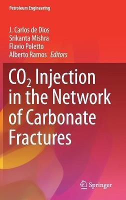 CO2 Injection in the Network of Carbonate Fractures - cover
