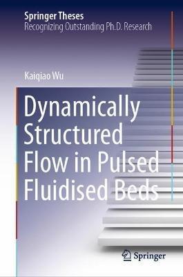 Dynamically Structured Flow in Pulsed Fluidised Beds - Kaiqiao Wu - cover