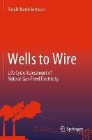 Wells to Wire: Life Cycle Assessment of Natural Gas-Fired Electricity - Sarah Marie Jordaan - cover
