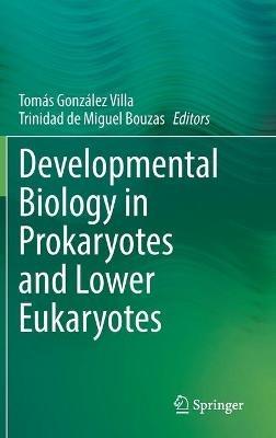 Developmental Biology in Prokaryotes and Lower Eukaryotes - cover