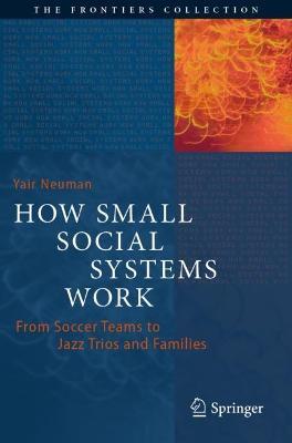 How Small Social Systems Work: From Soccer Teams to Jazz Trios and Families - Yair Neuman - cover