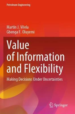 Value of Information and Flexibility: Making Decisions Under Uncertainties - Martin J. Vilela,Gbenga  F. Oluyemi - cover