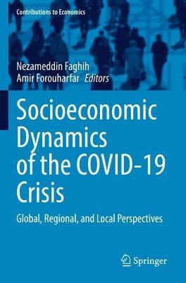 Socioeconomic Dynamics of the COVID-19 Crisis: Global, Regional, and Local Perspectives - cover