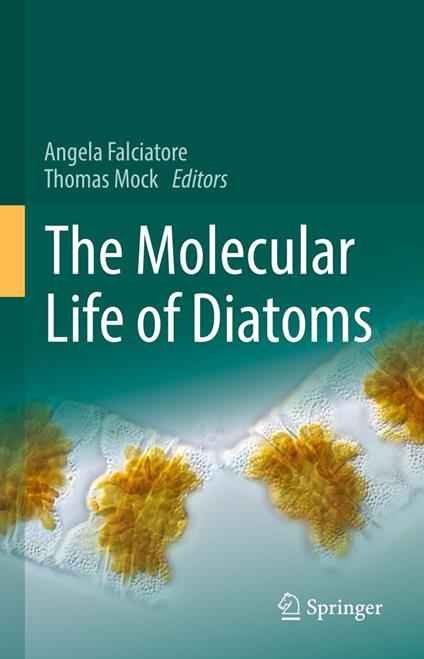 The Molecular Life of Diatoms