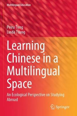 Learning Chinese in a Multilingual Space: An Ecological Perspective on Studying Abroad - Peiru Tong,Linda Tsung - cover