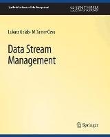Data Stream Management - Lukasz Golab,M. Tamer Ozsu - cover