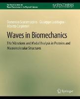 Waves in Biomechanics: THz Vibrations and Modal Analysis in Proteins and Macromolecular Structures - Domenico Scaramozzino,Giuseppe Lacidogna,Alberto Carpinteri - cover