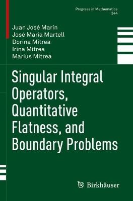 Singular Integral Operators, Quantitative Flatness, and Boundary Problems - Juan José Marín,José María Martell,Dorina Mitrea - cover